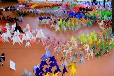 How 1000 Origami Horses Became A Herd Of 2000