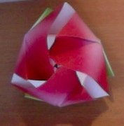 A Magic Rose Cube